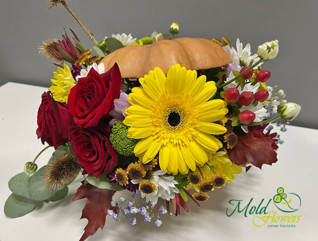 Arrangement with Red Roses, Gerbera in a Pumpkin photo